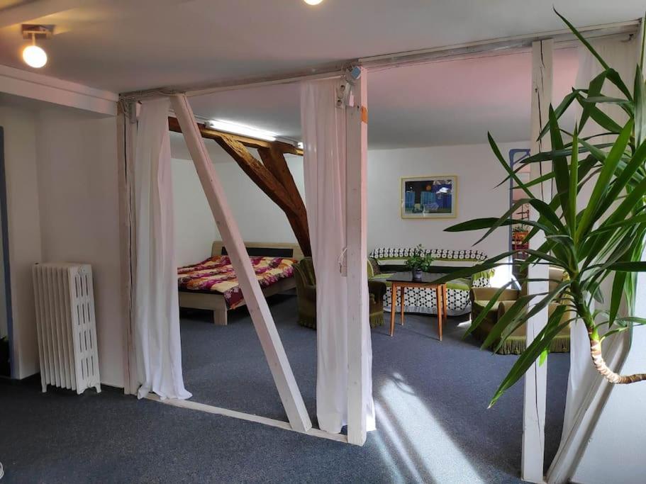Grosse 130 M2 Gemuetliche Wohnung Im Herzen Tribergs Triberg im Schwarzwald Exteriör bild