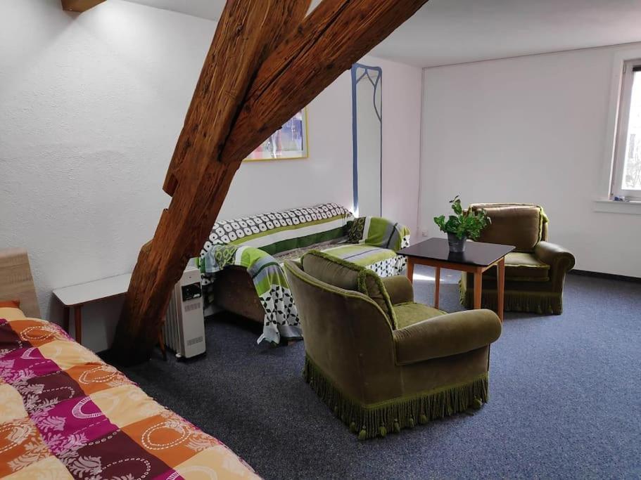 Grosse 130 M2 Gemuetliche Wohnung Im Herzen Tribergs Triberg im Schwarzwald Exteriör bild